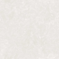 articul-A269821