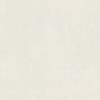 articul-A294895