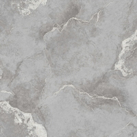articul-A305429